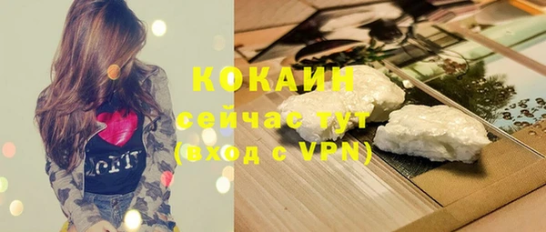 амф Осинники