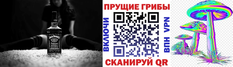 Галлюциногенные грибы Psilocybine cubensis наркотики сайты даркнета какой сайт Ишим