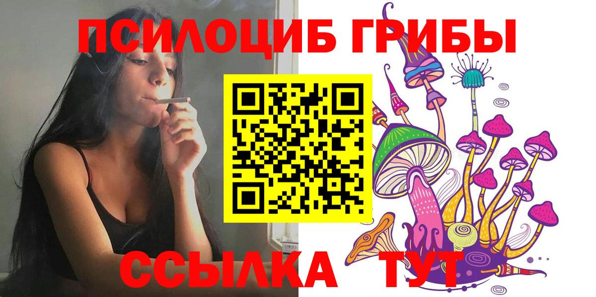 Псилоцибиновые грибы GOLDEN TEACHER  Псилоцибиновые грибы Psilocybine cubensis  Вход с VPN  Ишим 