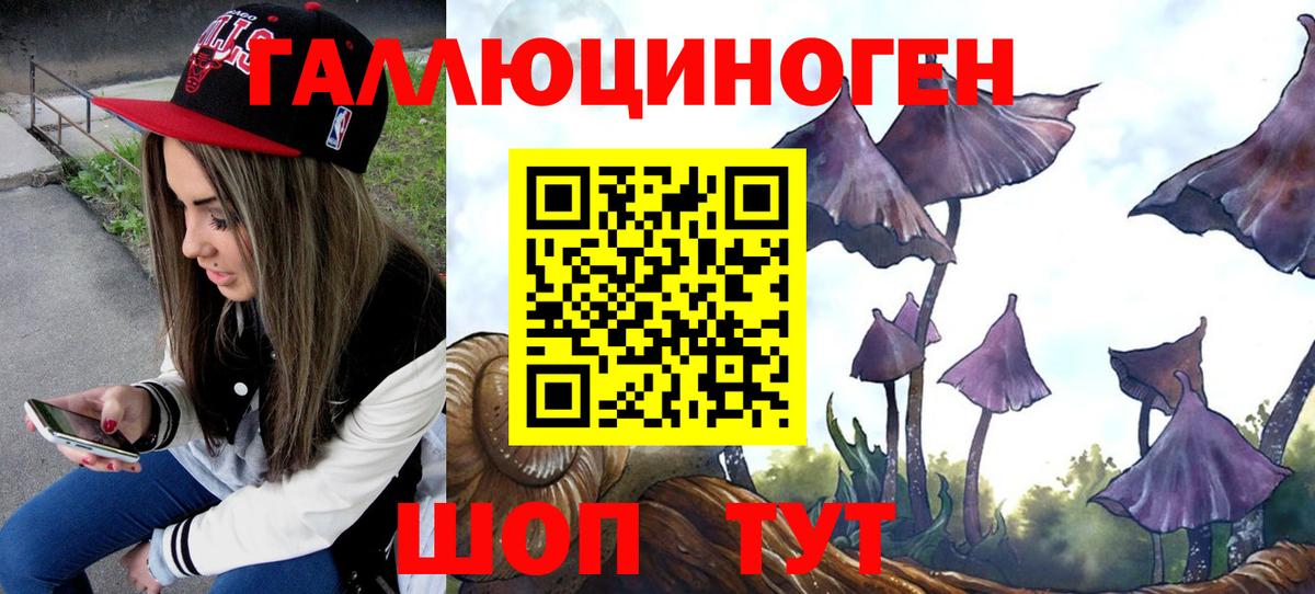 Псилоцибиновые грибы прущие грибы Ишим